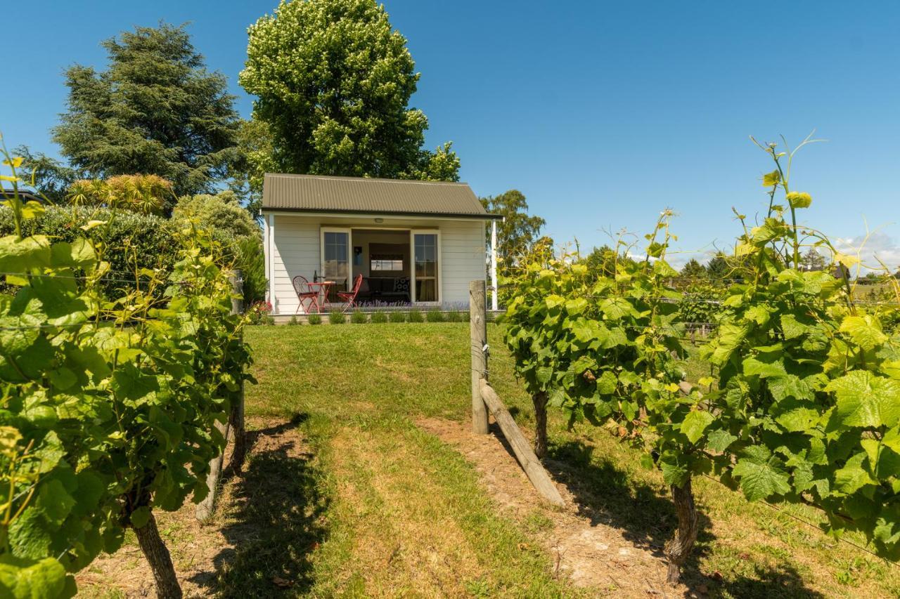 Kina Beach Cottages Tasman 외부 사진
